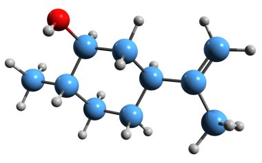  Dihydrocarveol iskelet formülünün 3 boyutlu görüntüsü - monoterpenoid 8-p-Menthen-2-ol 'un moleküler kimyasal yapısı beyaz arka planda izole edilmiş