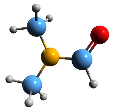 Dimethylformamide iskelet formülünün 3B resmi - beyaz arkaplanda izole edilmiş çözücü DMF 'nin moleküler kimyasal yapısı