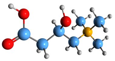  Carnitine iskelet formülünün 3 boyutlu görüntüsü - beyaz zemin üzerinde izole edilmiş dörtlü amonyum bileşiğinin moleküler kimyasal yapısı