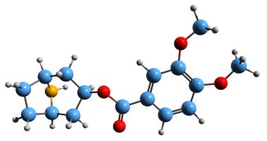 Convolvine iskelet formülünün 3 boyutlu görüntüsü - beyaz arkaplanda izole edilmiş Veratroylnortropine 'in moleküler kimyasal yapısı