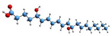 Leukotriene B4 iskelet formülünün 3 boyutlu görüntüsü - beyaz arka planda izole edilmiş eicosanoid iltihaplı arabulucunun moleküler kimyasal yapısı