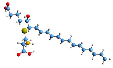  Leukotriene E4 iskelet formülünün 3 boyutlu görüntüsü - beyaz arka planda izole edilmiş eicosanoid iltihaplı arabulucunun moleküler kimyasal yapısı