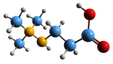  Meldonyum iskelet formülünün 3 boyutlu görüntüsü - sınırlandırılmış pazarın kimyasal yapısının moleküler yapısı beyaz arka planda izole edilmiş