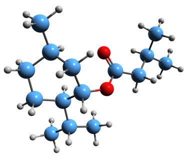  Mentil bütil iskelet formülünün 3 boyutlu görüntüsü - 2-Isopropil-5-metilsikloheksil bütilin moleküler kimyasal yapısı beyaz arkaplanda izole edildi