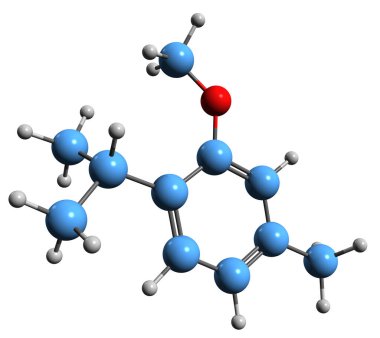 Thymol metil ether iskelet formülünün 3 boyutlu görüntüsü - 2-Isopropyl-5-metilanisol 'ün moleküler kimyasal yapısı beyaz arkaplanda izole edildi