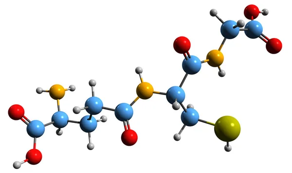 Изображение Скелетной Формулы Глутатиона Молекулярная Химическая Структура Трипептидного Антиоксиданта Выделенного — стоковое фото