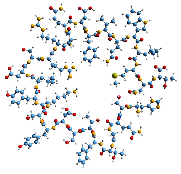 Зображення Формули Скелета Глюкагона Молекулярна Хімічна Структура Пептидного Гормону Ізольована — стокове фото