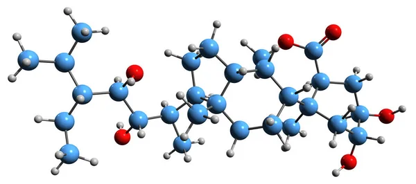Image Homobrassinolide Skeletal Formula Molecular Chemical Structure Brassinolide Ethyl Isolated — Stock Photo, Image