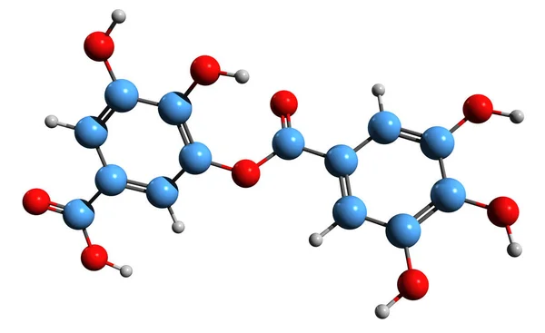 Beeld Van Digallic Acid Skeletformule Moleculaire Chemische Structuur Van Polyfenolische — Stockfoto