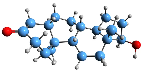 Obraz Kosterního Vzorce Dihydrotestosteronu Molekulárně Chemická Struktura Androstanolonu Izolovaného Bílém — Stock fotografie