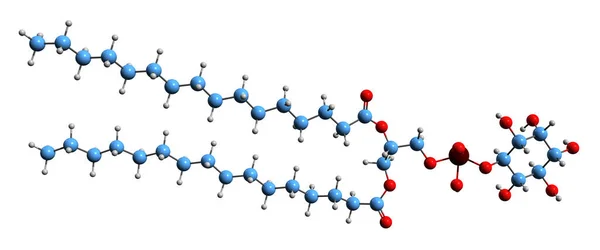 Dialmitoyl Phosphatidylinositol骨格式の3D画像 白地に単離された代謝物の分子化学構造 — ストック写真