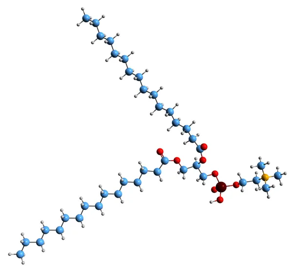 Imagen Fórmula Esquelética Dipalmitoylphosphatidylcholine Estructura Química Molecular Fosfolípido Aislado Sobre — Foto de Stock