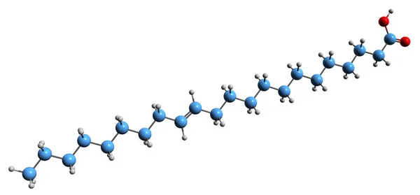 Obraz Formuły Szkieletowej Kwasu Erukowego Molekularna Struktura Chemiczna Jednonienasyconego Kwasu — Zdjęcie stockowe