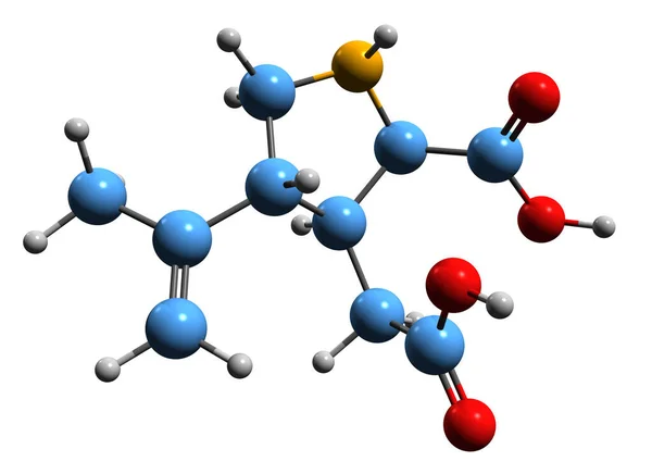 カイニックアシッド骨格式の3D画像 白地に単離された神経毒ケイン酸の分子化学構造 — ストック写真