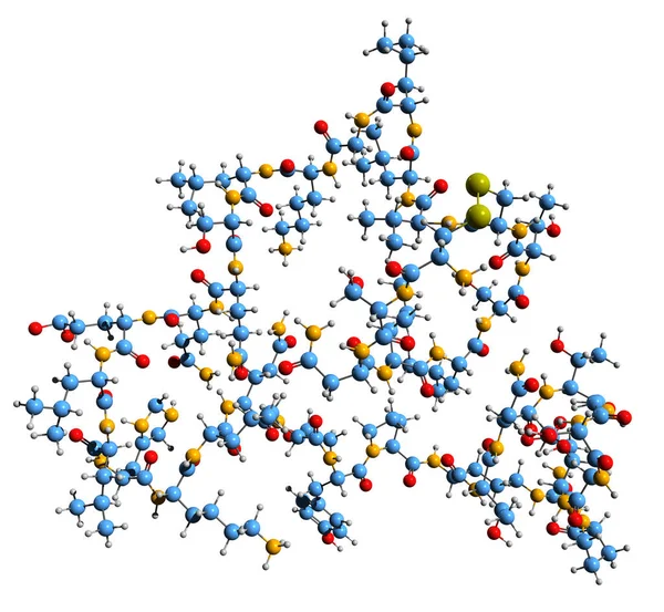 カルシトニン骨格式の3D画像 白地に単離されたペプチドホルモンの分子化学構造 — ストック写真