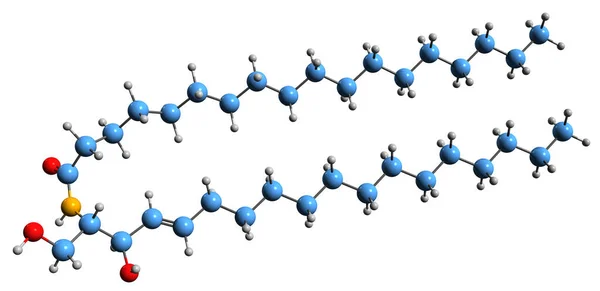 Beeld Van Ceramide Skelet Formule Moleculaire Chemische Structuur Van Wasachtige — Stockfoto