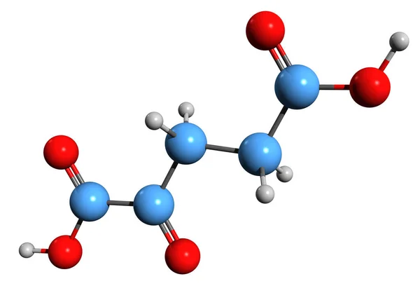 Aufnahme Der Ketoglutarsäure Skelettformel Molekulare Chemische Struktur Von Oxoglutarsäure Isoliert — Stockfoto