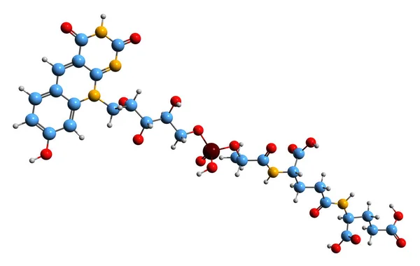辅酶F420骨架公式的三维图像 白底分离的8 脱氮酶的分子化学结构 — 图库照片