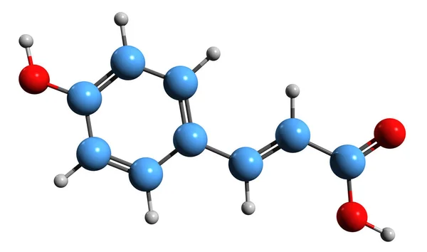 Aufnahme Der Coumarinsäure Skelettformel Molekulare Chemische Struktur Der Hydroxyzimtsäure Isoliert — Stockfoto
