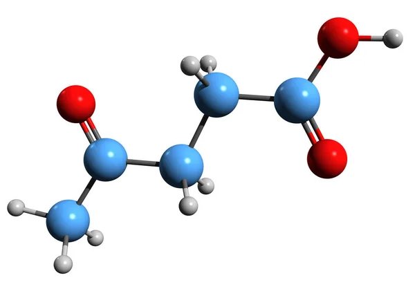 Obraz Formuły Szkieletowej Kwasu Lewoliniowego Struktura Chemiczna Molekularna Kwasu Acetopropionowego — Zdjęcie stockowe