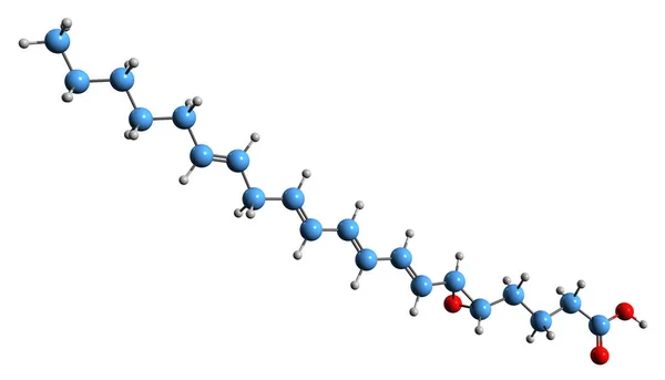 Leukotriene A4骨架公式的三维图像 白色背景下分离的类固醇炎症介质的分子结构 — 图库照片