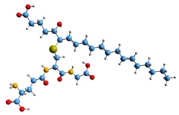 Obraz Wzoru Szkieletowego Leukotriene Molekularna Struktura Chemiczna Eikozanoidalnego Mediatora Zapalnego — Zdjęcie stockowe