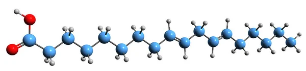 Abbildung Der Linolsäure Skelettformel Molekularchemische Struktur Der Mehrfach Ungesättigten Omega — Stockfoto