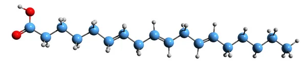 Imagen Fórmula Esquelética Del Ácido Gamma Linolénico Estructura Química Molecular —  Fotos de Stock