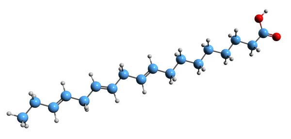 リノレン酸骨格式の3次元像 白色の背景に単離された10進数酸の分子化学構造 — ストック写真