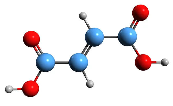 Obraz Formuły Szkieletowej Kwasu Maleinowego Molekularna Struktura Chemiczna Kwasu Cis — Zdjęcie stockowe