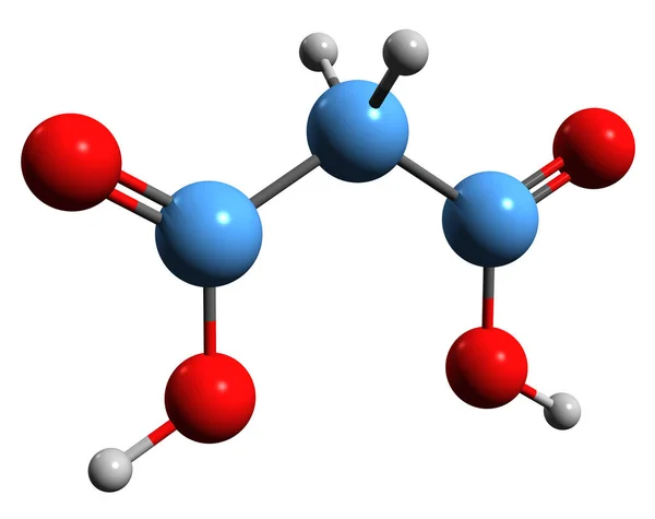 マロン酸骨格式の3D画像 白い背景に単離されたメタネジカルボン酸の分子化学構造 — ストック写真