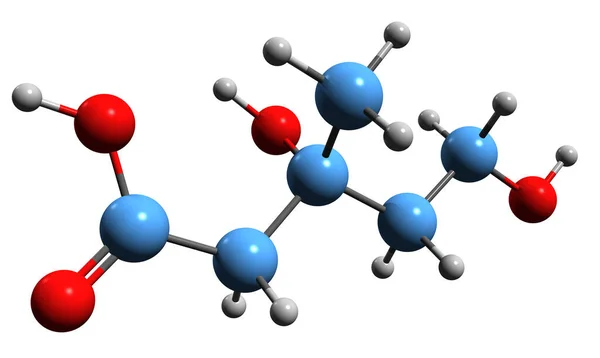 Mevalonic Acid骨格式の3D画像 白色背景に単離されたジヒドロキシメチルバレロラクトンの分子化学構造 — ストック写真