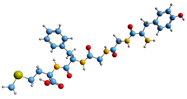 Beeld Van Met Enkephaline Skeletformule Moleculaire Chemische Structuur Van Opioïde — Stockfoto