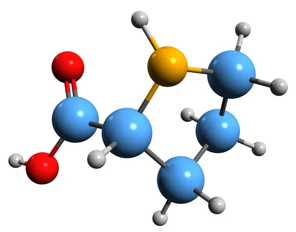 Imagen Fórmula Esquelética Proline Estructura Química Molecular Del Aminoácido Proteinogénico — Foto de Stock