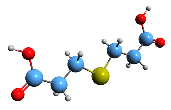 3D image of Thiodipropionic acid skeletal formula - molecular chemical structure of Acid-based synthetic antioxidant isolated on white background