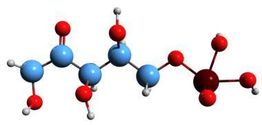  3D image of Ribulose 5-phosphate skeletal formula - molecular chemical structure of 5-O-Phosphono-D-ribulose isolated on white background clipart