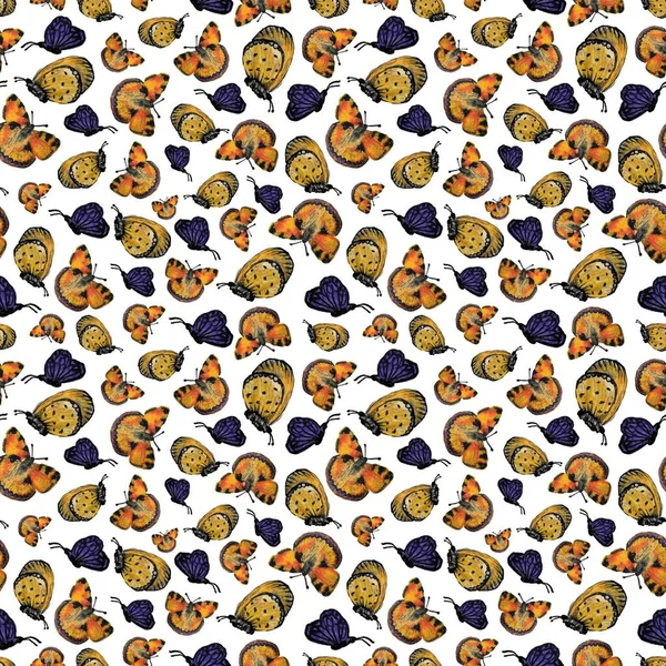 ホワイトバックグラウンドの蝶 ラスターシームレスなパターン 蝶の異なった形そして色 — ストック写真