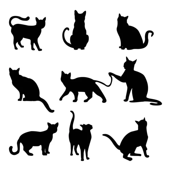 Verzameling Van Vector Silhouetten Van Katten — Stockvector