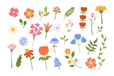 Şirin çiçek vektörü ayarlandı. Çiçeksel botanik elementlerin bembeyaz arka planda izole edilmiş hali. El çizimi doğal çayır nesneleri.