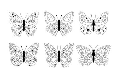 Çiçekli, botanik ve soyut kanatlı kelebekler. Tuhaf böcekler, resimlerin üst görüntüsünü izole ettiler. Siyah çizgili kelebek vektörü ayarlandı. El çizimi karalama elementleri çiçekler, yapraklar.