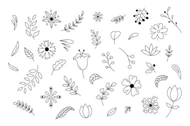 Botanik karalama elemanları basit vektör kümesi. Çiçekler, yapraklar, bitkiler ve böğürtlenlerin siyah beyaz çizimleri. Dekoratif çizgi sanat tasarım için doğal nesneler. El çizimi çiçek karalamaları.