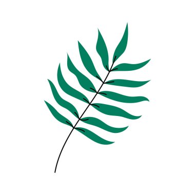 Tropikal yaprak izole vektör elementi. Palmiye yaprakları, sevimli bitki dekoratif karalama nesneleri..