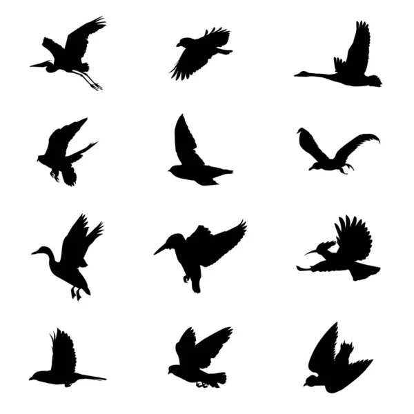Flying Birds Silhouettes Collection Creating Artwork Compositions — Stock Vector