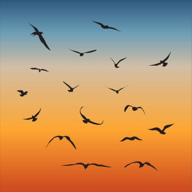 A vector collection or birds flying in a horizon clipart