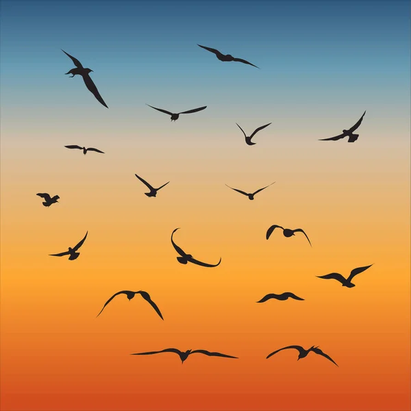 Vektorsamling Eller Fåglar Som Flyger Horisonten — Stock vektor