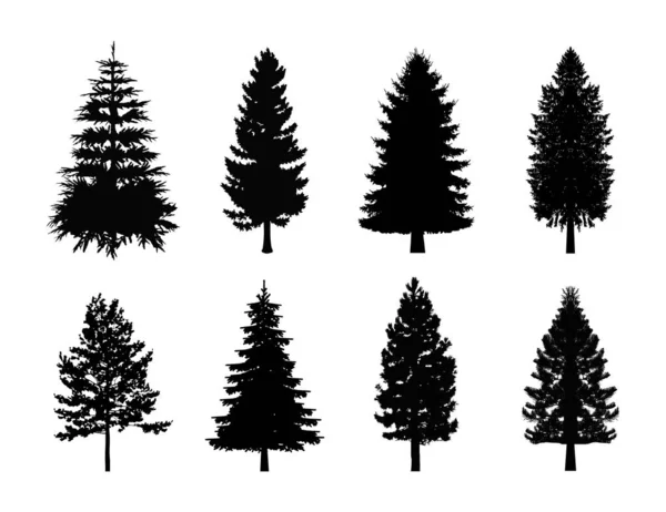 Çam ağacı siluetlerinin vektör koleksiyonu
