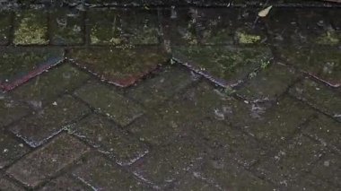 Su damlacıkları bir sokağa düşer ve sokağın karşısında dalgalanmalar ve ıslak dokular oluşturur. Yağmurun çevresel hareketi, öykü anlatımı, çevresel görseller veya sinematik sahne için ideal barışçıl ve biraz melankolik bir ortam yaratır..