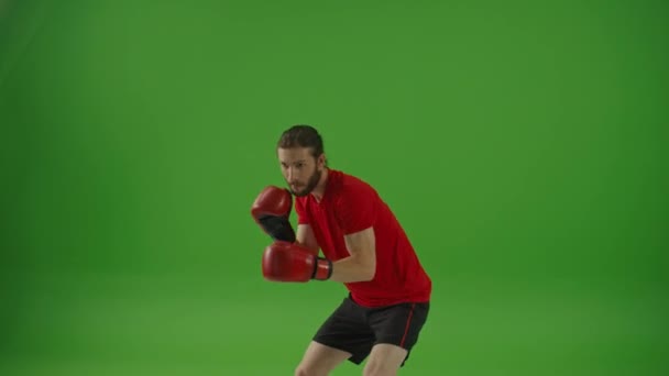 Young Professional Bearded Fighter Gör Boxning Övningar Medan Bär Sportkläder — Stockvideo