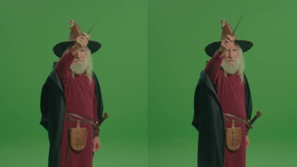 1スプリットグリーンスクリーンモンタージュ魔法の杖で呪文を唱えるクロークと中世の服に灰色のひげを持つウィザードの肖像画 呪文とキャスター 魔法と魔術 魔法学校 — ストック動画