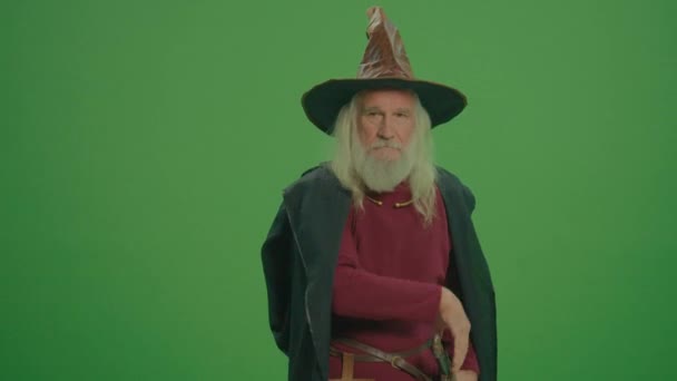 Zelená Obrazovka Portrét Čaroděje Šedým Plnovousem Plášti Středověkým Oděvem Vytahuje — Stock video